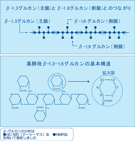 β グルカンとは？アウレオバシジウム黒酵母β グルカンの驚くべき