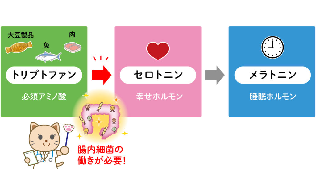 腸内環境を整えて良い眠りを 株式会社アウレオ 腸内環境を整えて良い眠りを 株式会社アウレオ