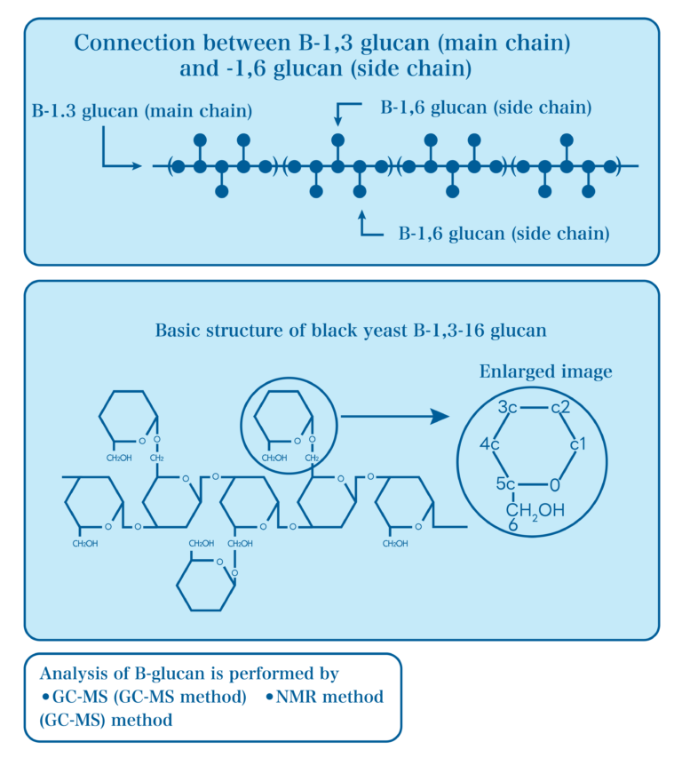 What is betaglucan? Aureobasidium (black yeast) 株式会社アウレオ